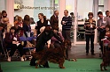 Crufts2011_2 066